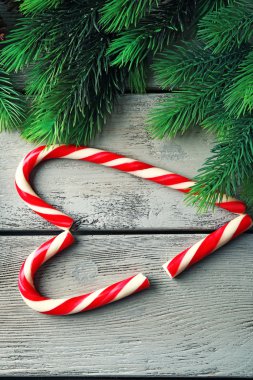 Lolipop şekerler köknar ağacı dalları ile kalp tarihlerde 