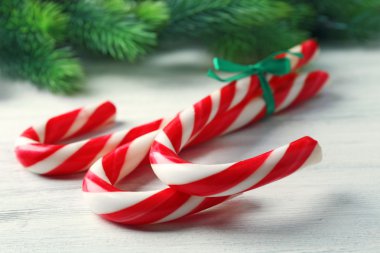 Lolipop şekerler köknar ağacı dalları ile