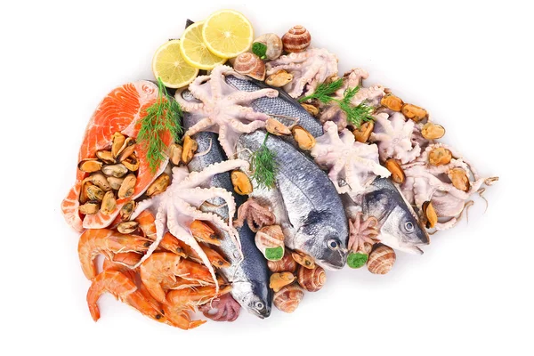 Taze Mediterranean kokteyl beyaz arka planda, yakın kadar balık