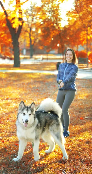 Kvinna promenader med hund i parken — Stockfoto