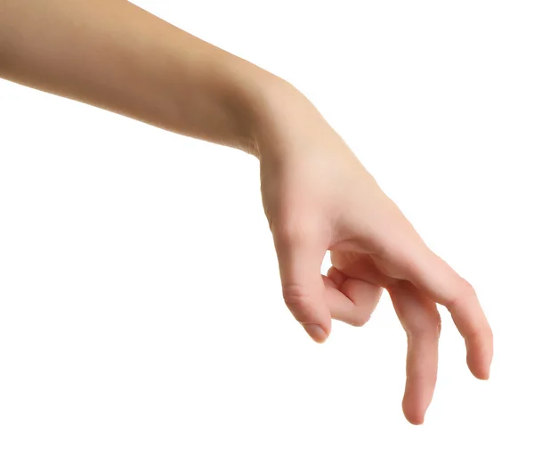 Woman hand on white — Stock Photo, Image