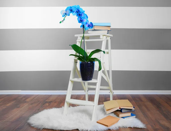Schöne blaue Orchidee auf dekorativem Tisch — Stockfoto