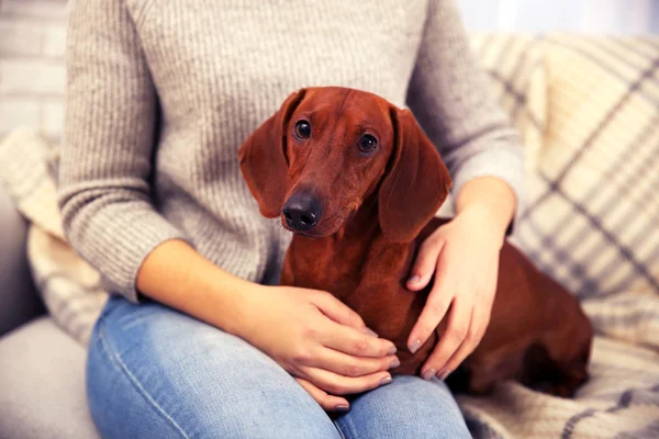 Woman with cute dachshund puppy — Stock Photo, Image