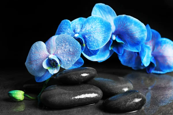 Composición de spa con orquídea azul — Foto de Stock