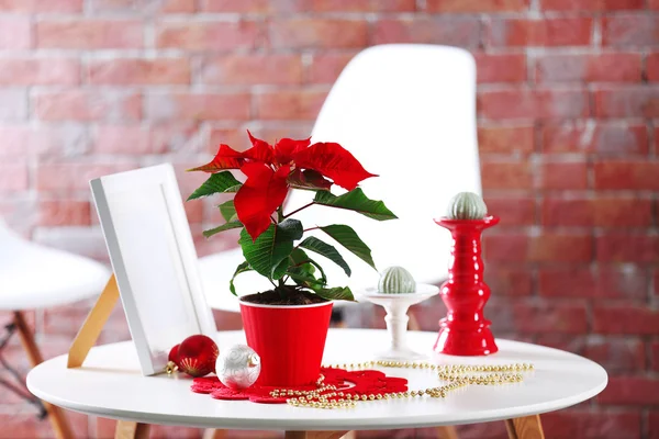 Interno moderno con fiore di Natale poinsettia — Foto Stock