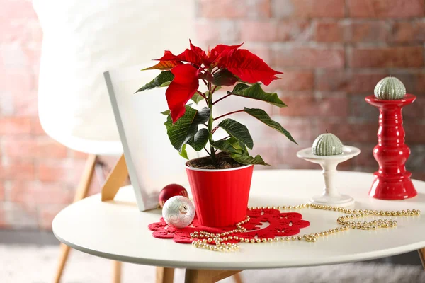 Interno moderno con fiore di Natale poinsettia — Foto Stock