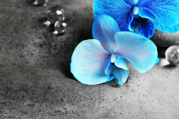 Composição spa com orquídea azul — Fotografia de Stock