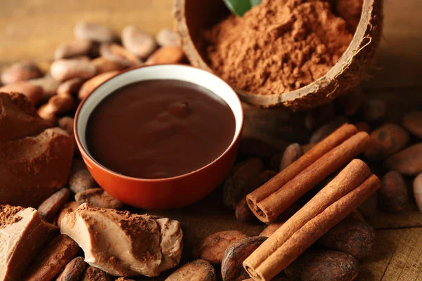 Ароматический урожай какао с вкусным шоколадом — стоковое фото