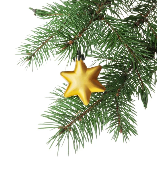 Желтая звезда на ветке елки — стоковое фото