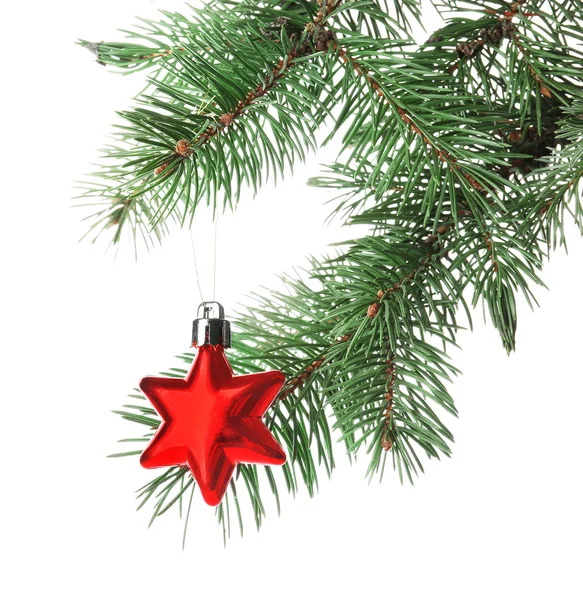 Red star on Christmas tree branch — Stock Photo, Image