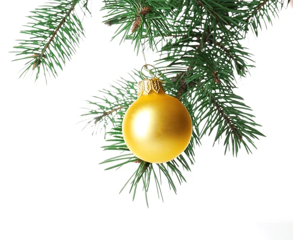Bola azul en una rama de árbol de Navidad — Foto de Stock