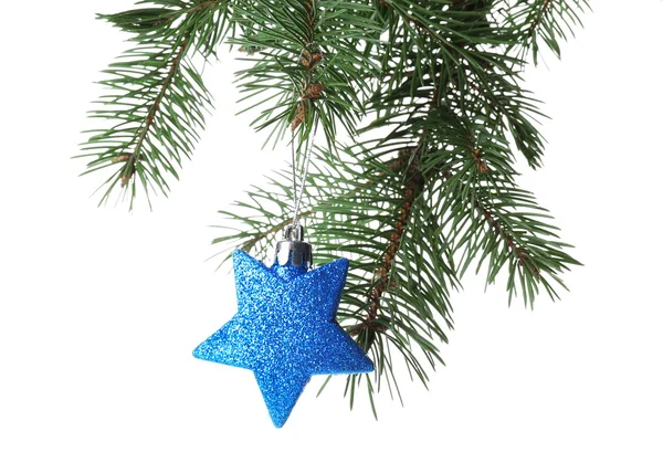 Blue star on Christmas tree branch — Stock Photo, Image