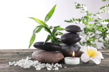 güzel spa konsept 