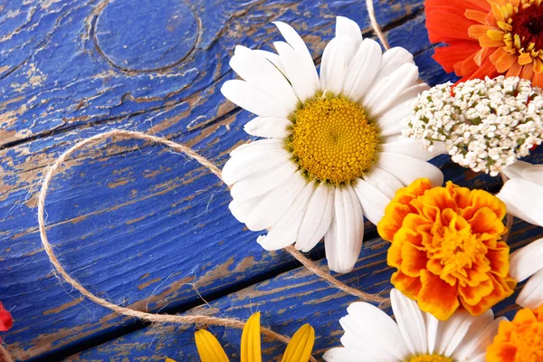Čerstvé barevné květiny — Stock fotografie