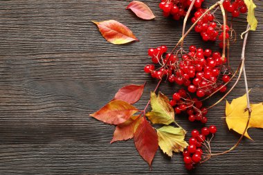 sonbahar yaprakları arka plan