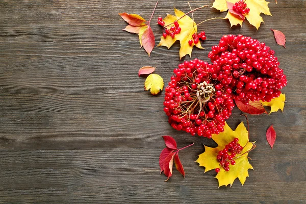 Mazzo di viburno e foglie colorate — Foto Stock