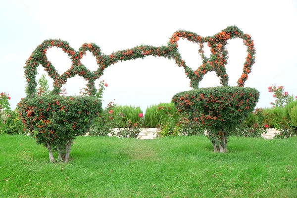 Alberi nel parco cittadino — Foto Stock