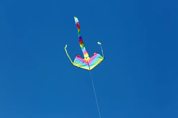 Kite i mörkblå himmel — Stockfoto