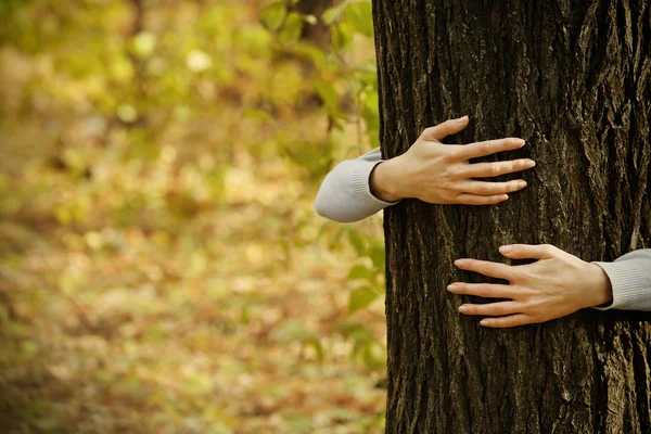 Hands hugging tree — Stock Photo, Image
