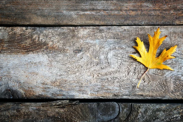 Hoja de arce sobre fondo de madera —  Fotos de Stock