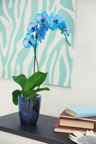 Beautiful blue orchid flower on table — Stock Photo, Image