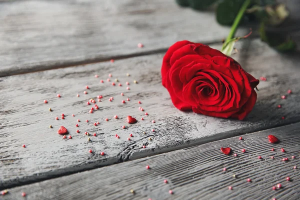 Rosa bonita com corações pequenos — Fotografia de Stock