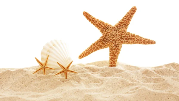 Deniz yıldızı ve kabukları kum üzerinde - Stok İmaj