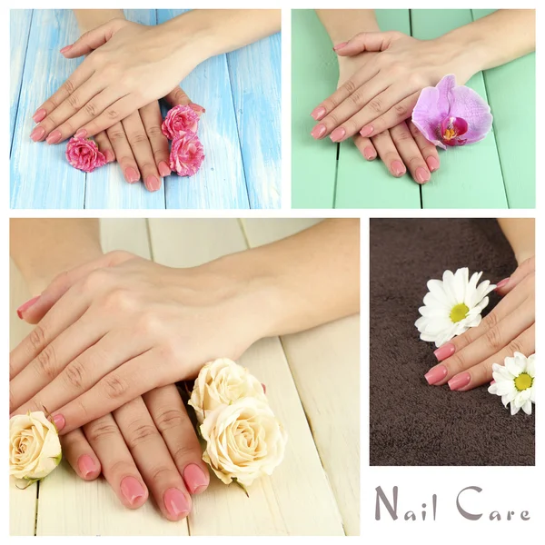 Mani di donna con fiori in collage — Foto Stock