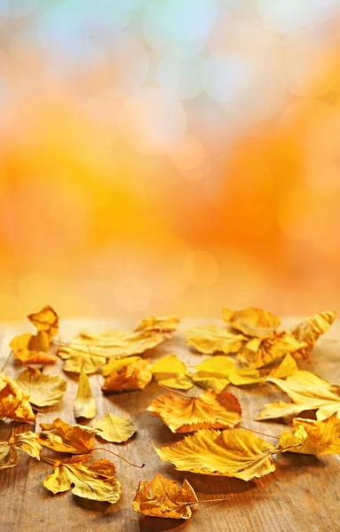 Yellow autumn leaves — Stock Photo, Image