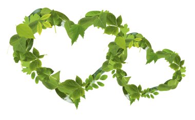 Heart sof different  green  leaves clipart