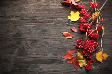 sonbahar yaprakları arka plan