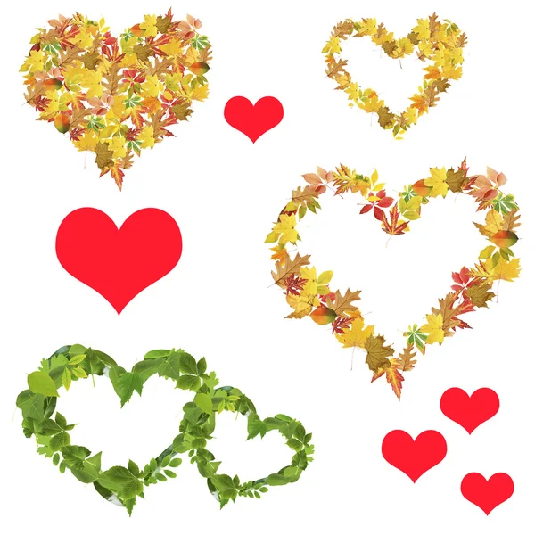 Hearts of different  leaves — Stock Photo, Image