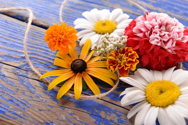 Verse kleurrijke bloemen — Stockfoto