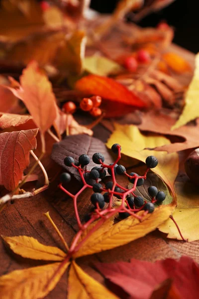 Herfst bladeren achtergrond — Stockfoto