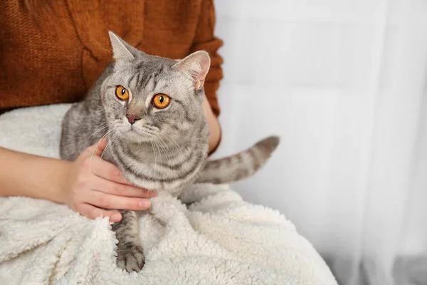 Kvinna anläggning härliga grå katt — Stockfoto