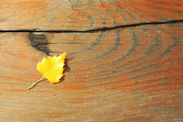 Hoja de otoño dorado —  Fotos de Stock