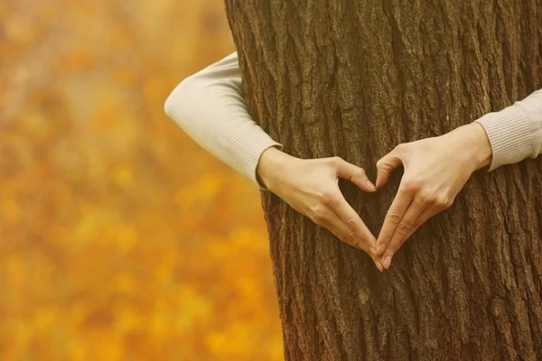 Hands hugging tree