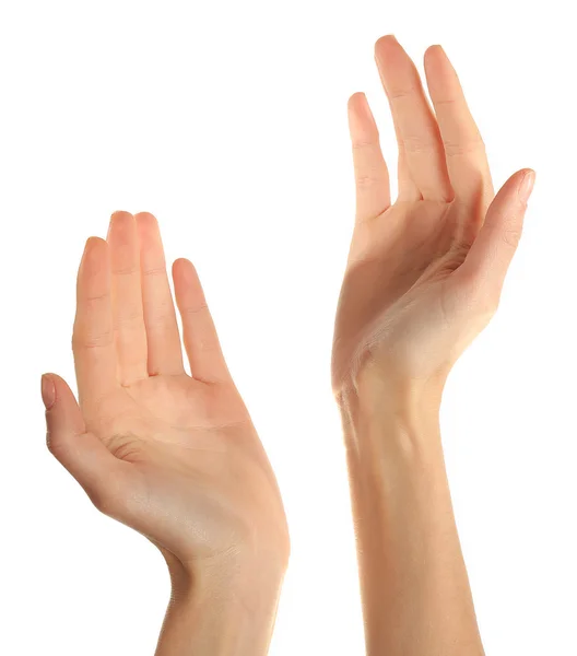 Human hands isolated — Stock Photo, Image