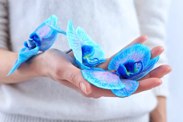 Belle orchidee blu nella mano della donna — Foto Stock