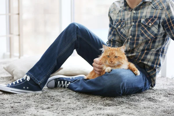 Kabarık kırmızı kedi tutan adam — Stok fotoğraf