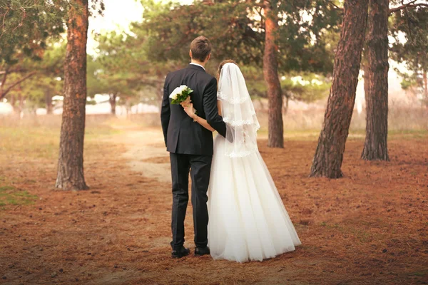 Bello sposo e sposa in piedi indietro — Foto Stock