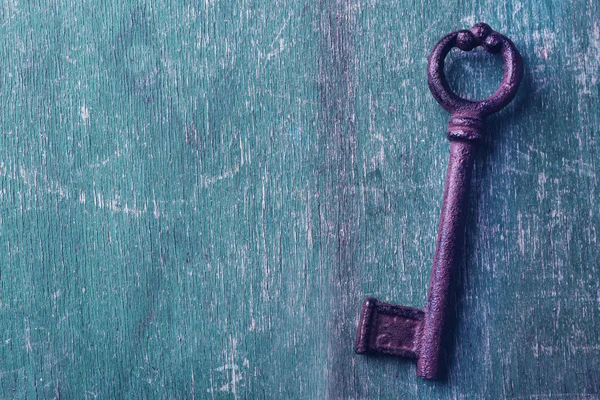 Old key on green — Stock Photo, Image