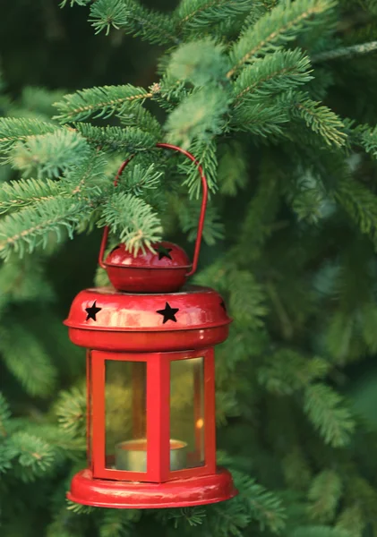 Weihnachtslaterne hängt am Ast — Stockfoto