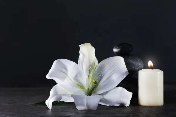 Stazione termale natura morta con bel fiore — Foto Stock