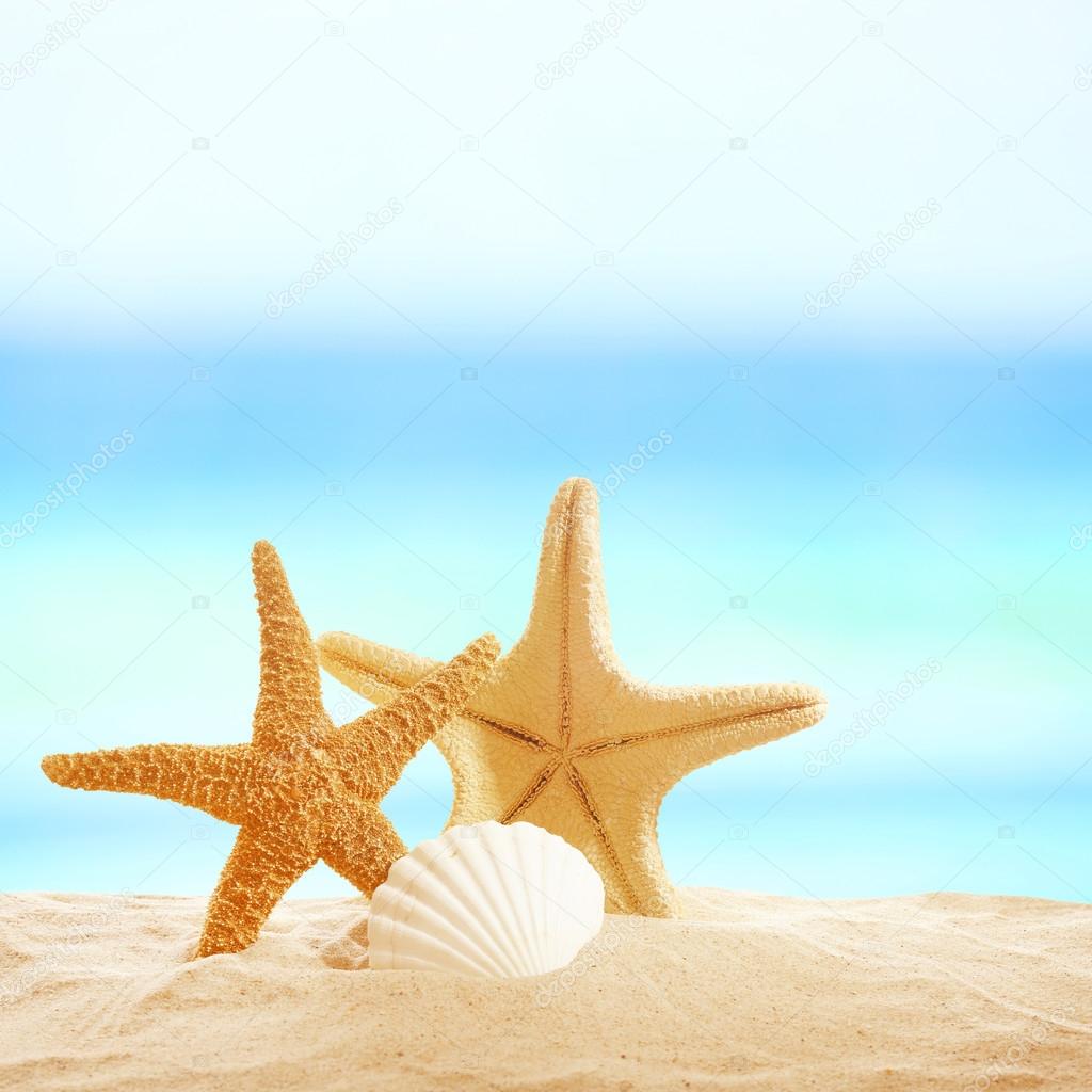 Starfishes and shells on sand