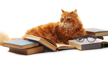 Kırmızı kedi ve üzerinde beyaz izole kitap