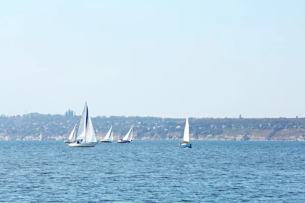 Jachten zeilregatta — Stockfoto