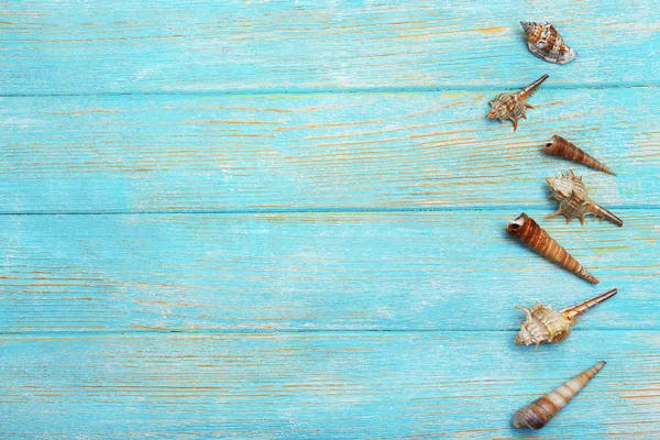 Seashells sul tavolo di legno — Foto Stock