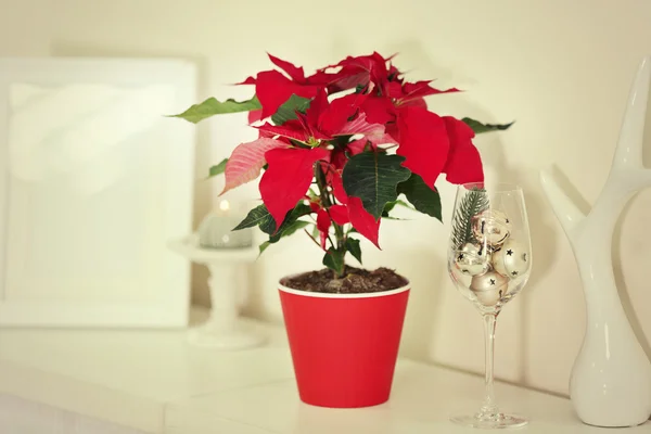 Natale fiore poinsettia e decorazioni — Foto Stock