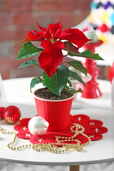 Interno moderno con fiore di Natale poinsettia — Foto Stock